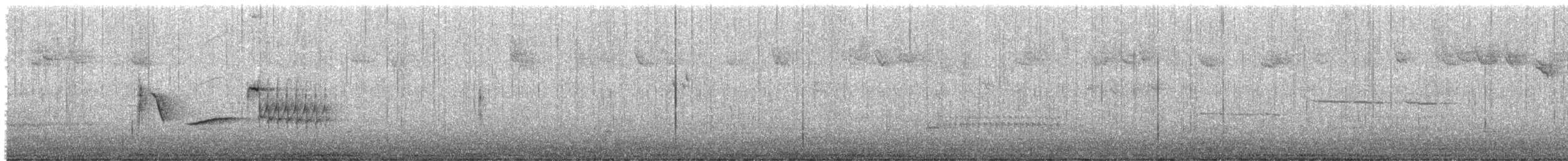 Тауї плямистий x східний - ML617981977