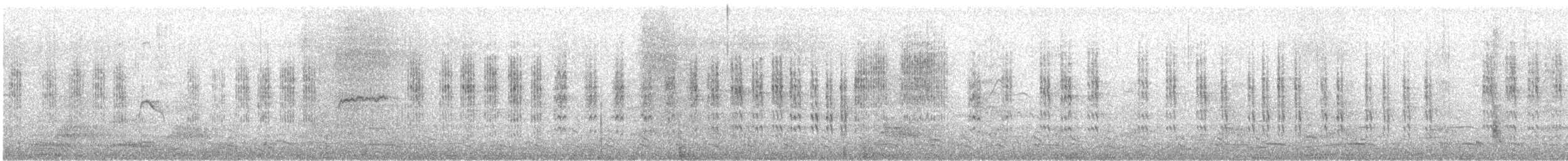 Phragmite des joncs - ML617990275