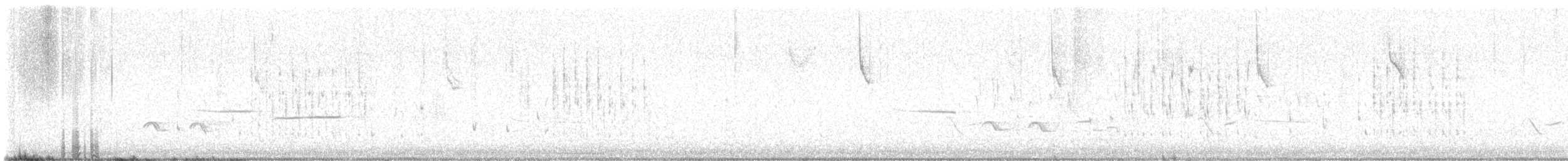 Troglodyte des marais - ML617991954