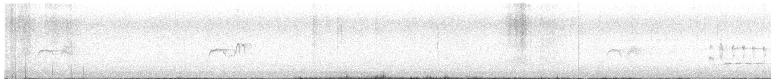Светлобрюхий фиби - ML617993097