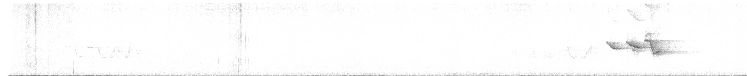 チャカブリアメリカムシクイ - ML617993704