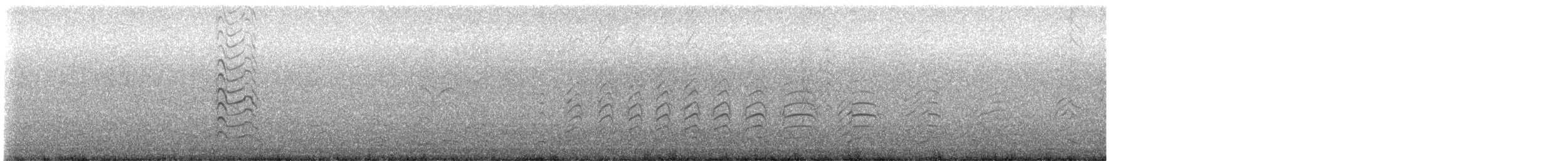 ワライカモメ - ML617997441