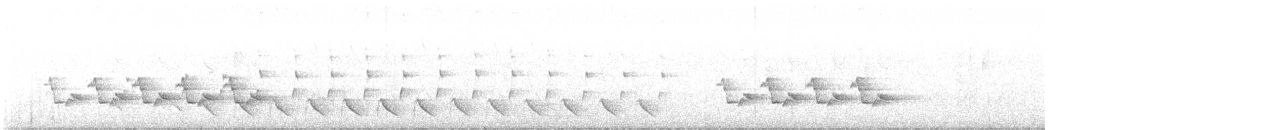 Поплітник каролінський - ML617997661
