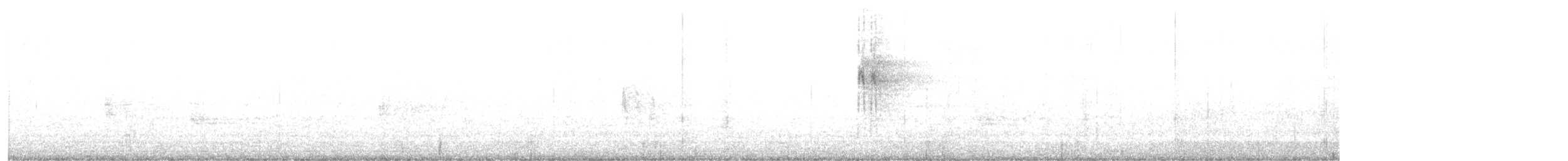 White Wagtail - ML617998545