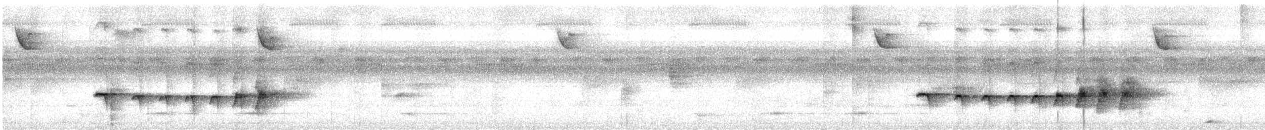 Rostflanken-Ameisenschnäpper - ML617999397