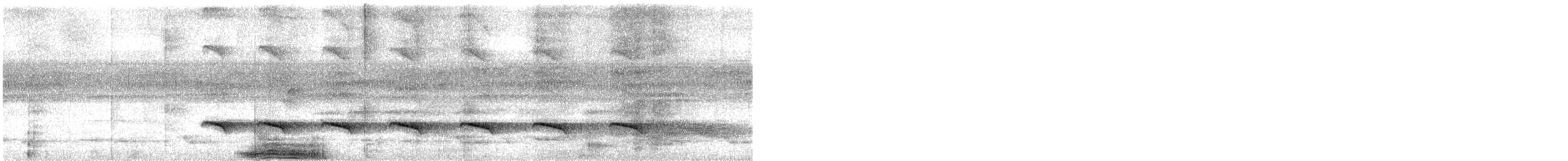 Kara Başlı Karıncakuşu (rufifrons/subcristata) - ML617999426