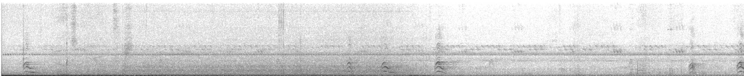Сова плямиста (підвид lucida) - ML618001275