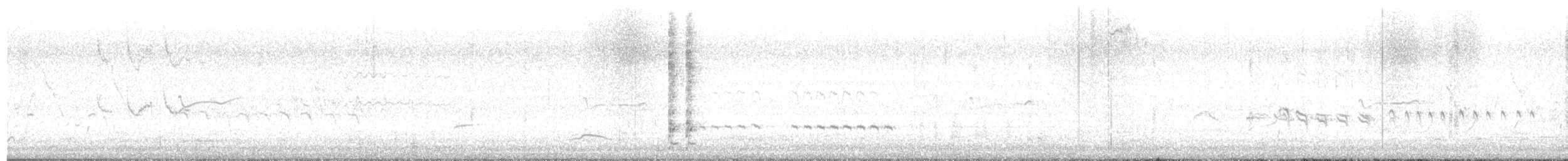Широкохвостый колибри - ML618007223