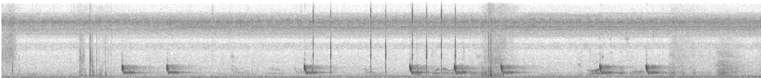 Large-tailed Nightjar - ML618008538