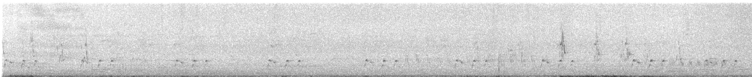 Streifenpanthervogel - ML618009217