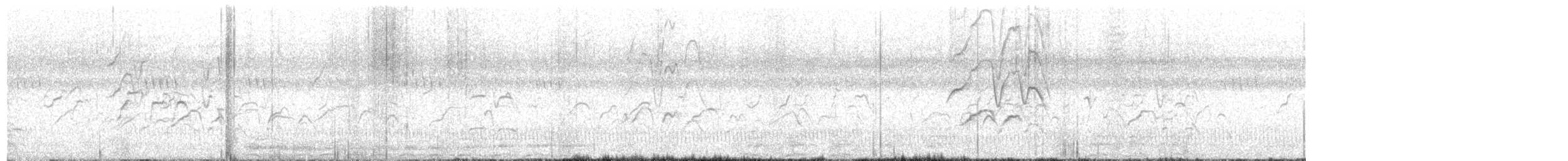 Ak Yüzlü Islıkçı Ördek - ML618012338