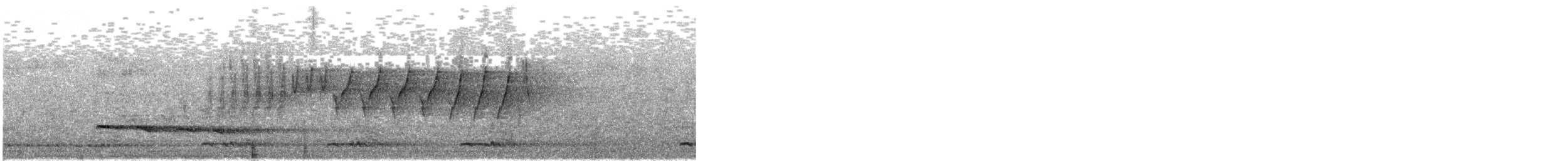 Атласная нектарница - ML618013672