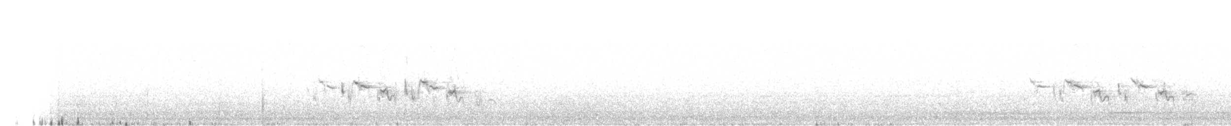 Traquet à tête blanche - ML618013673