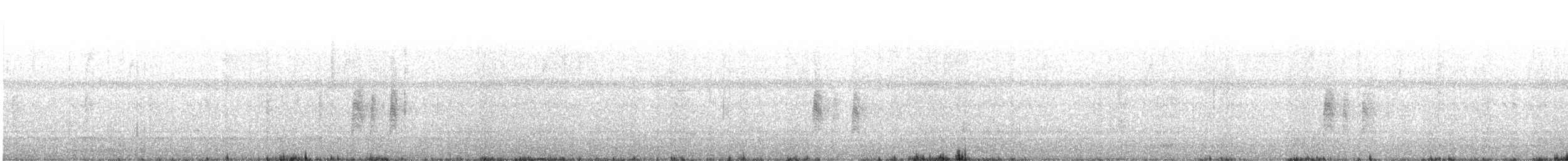 Antillennachtschwalbe - ML618013922