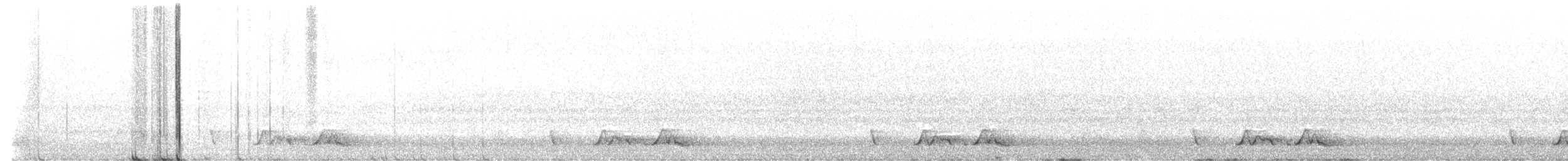 Carolinanachtschwalbe - ML618014423