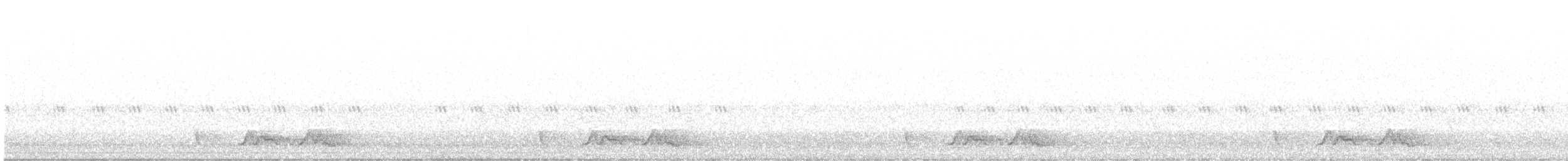 Carolinanachtschwalbe - ML618014424