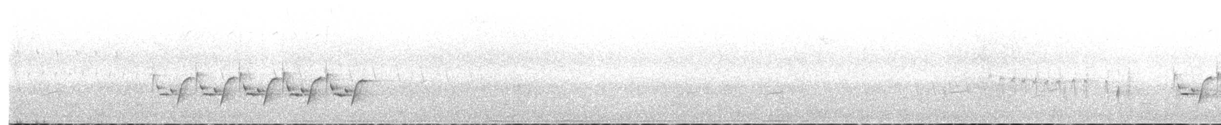 Поплітник каролінський - ML618017010