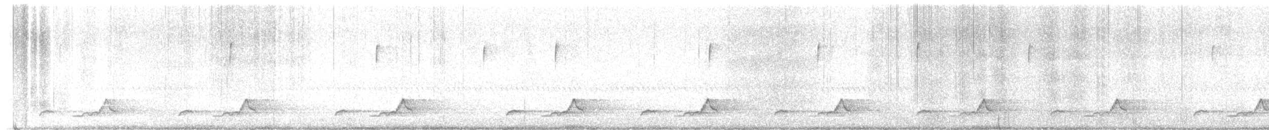 Schwarzkehl-Nachtschwalbe - ML618018530