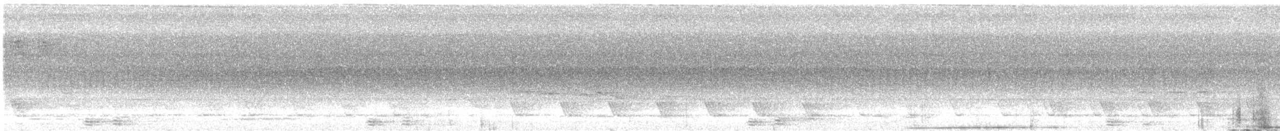Rhinozeroshornvogel - ML618018578