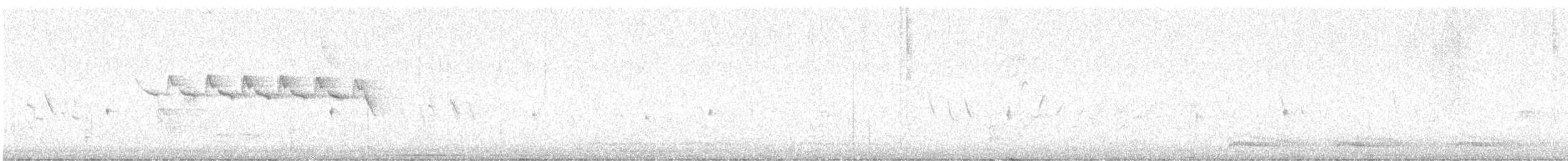 Yellow-rumped Warbler - ML618019720