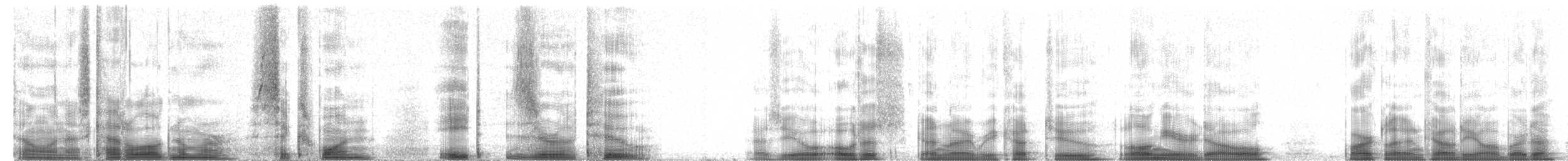 Сова вухата (підвид wilsonianus/tuftsi) - ML61802