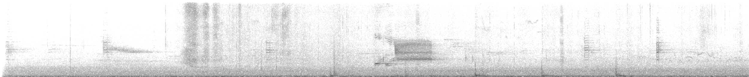 Orange-crowned Warbler - ML618020368