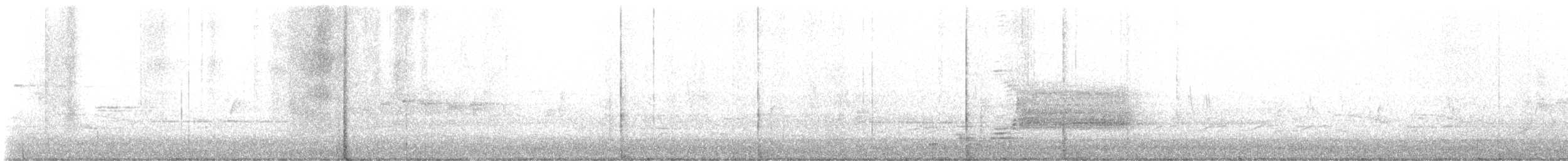 Orange-crowned Warbler - ML618020369