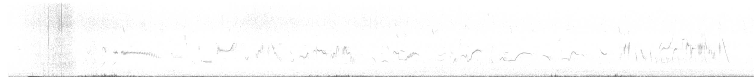 chocholouš vavřínový - ML618020970