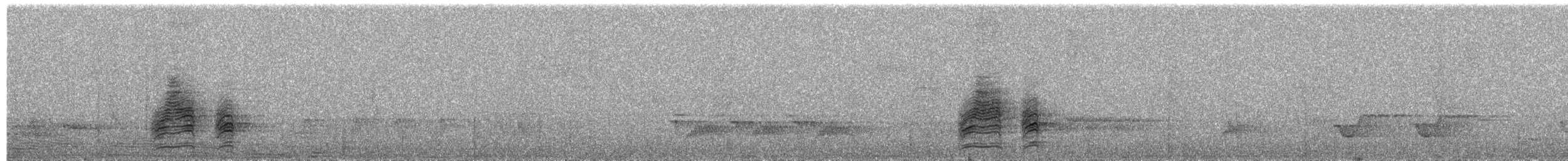 svarthetteskogtrost - ML618021117