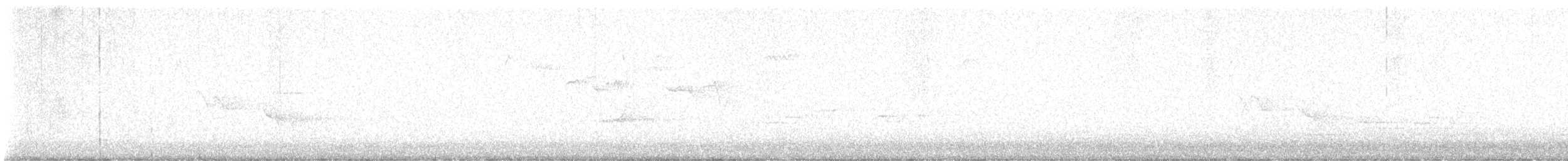 Hermit Thrush - ML618022380