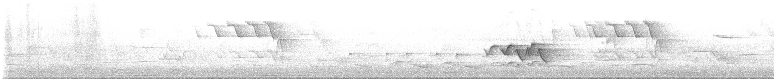 Paruline à capuchon - ML618023811