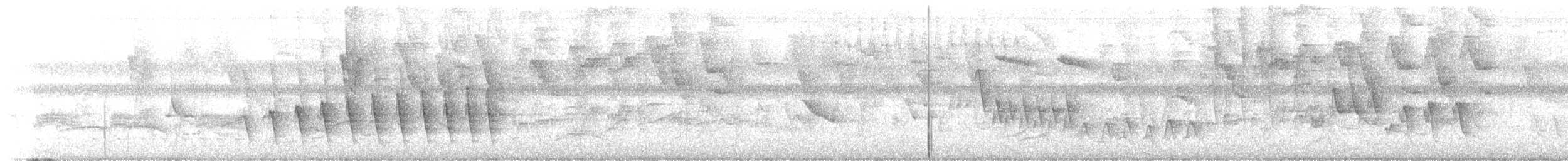 Chocó-Strichelameisenschlüpfer - ML618025569