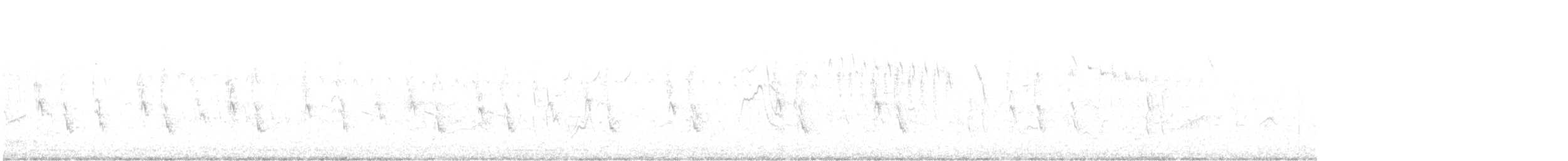 Шишкар ялиновий - ML618032030