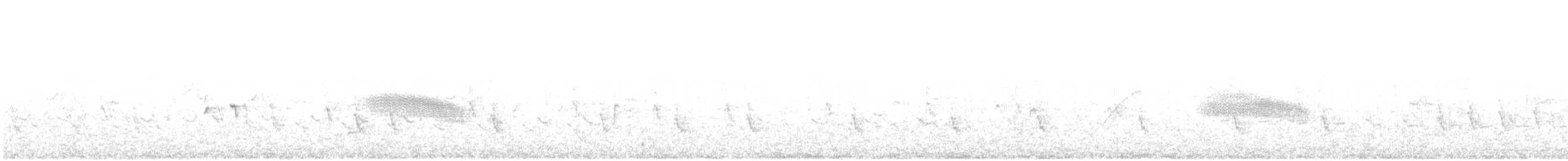 Шишкар ялиновий - ML618032031