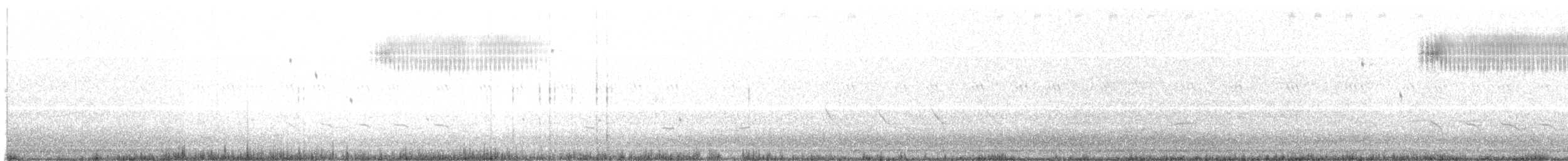 Кузнечиковая овсянка-барсучок - ML61803531