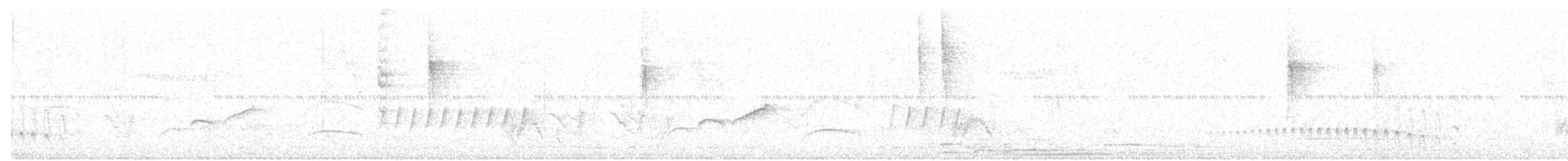 Schwarzscheitel-Ameisenfänger - ML618036690