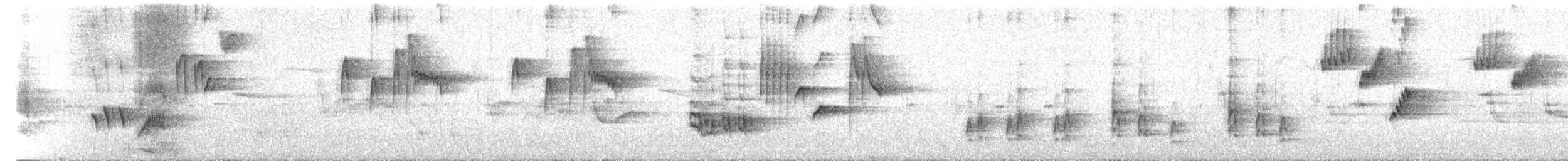 Дууч хөөндэй - ML618040140