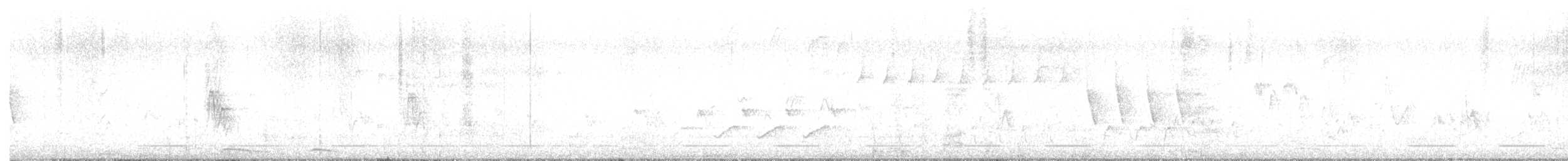 holoubek mexický - ML618042141