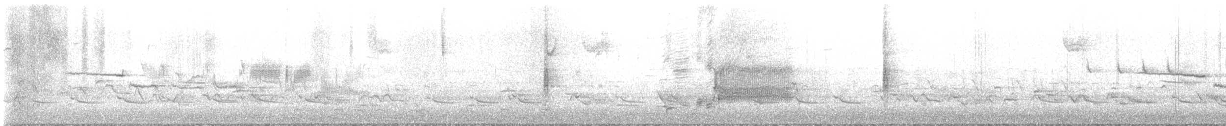 Porsuk Serçesi (leucophrys) - ML618042996