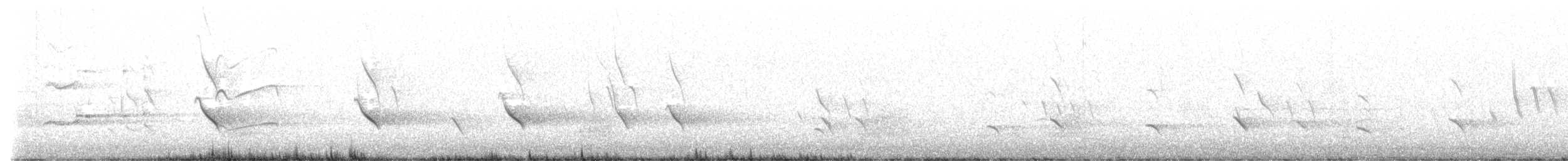 Fischadler (carolinensis) - ML618043459
