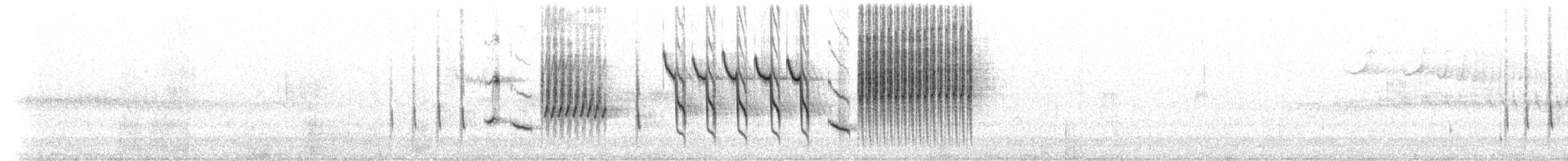 engsmett (aequatorialis) - ML618045703