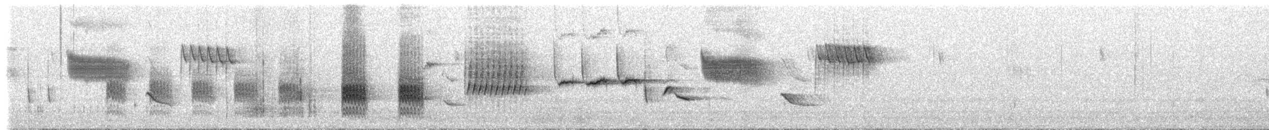 Troglodyte de Latham (aequatorialis) - ML618045713