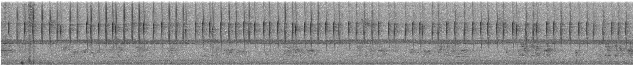 Violet-capped Woodnymph - ML618048326