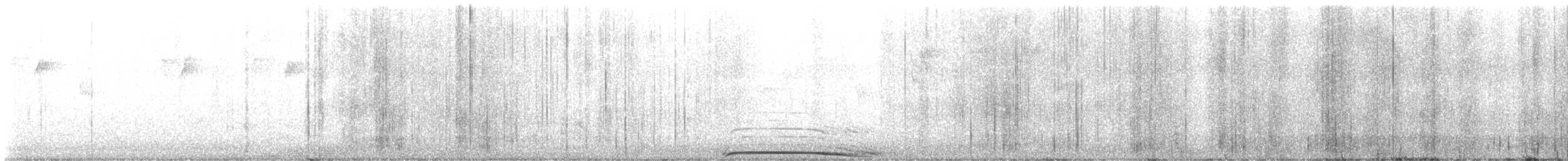 Chouette rayée - ML618048432