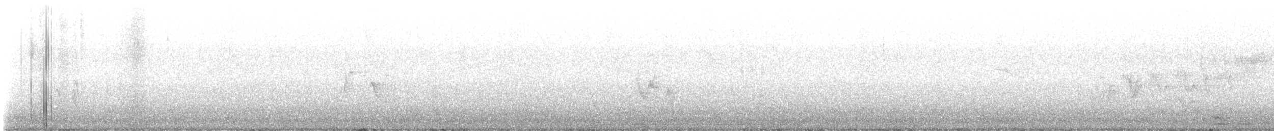 Cerulean Warbler - ML618049469