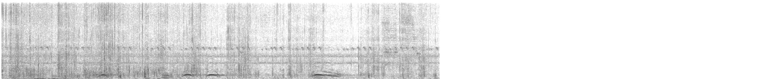 Сова плямиста (підвид lucida) - ML618049715