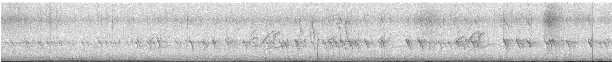 Fichtenkreuzschnabel (Typ 2) - ML618049947