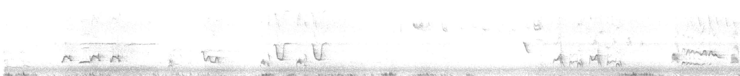Тремблер прямодзьобий - ML618053711