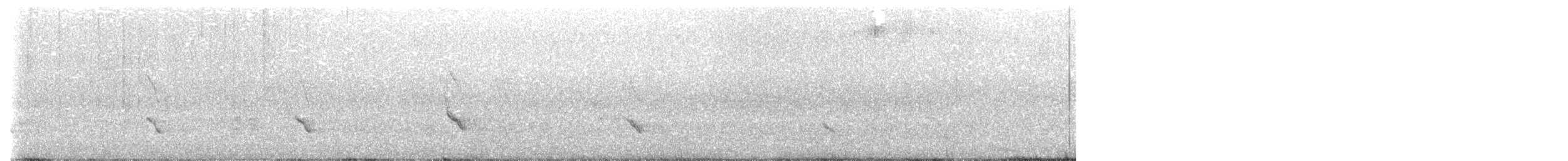 Fischadler (carolinensis) - ML618054415