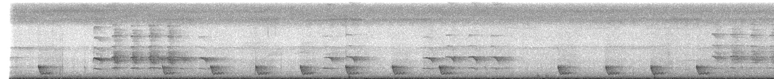 Large-tailed Nightjar - ML618055379